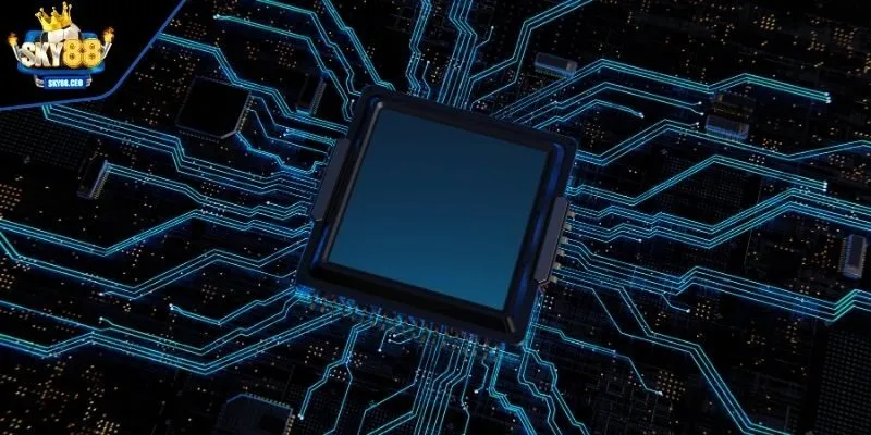 Chính sách về hành vi gian lận