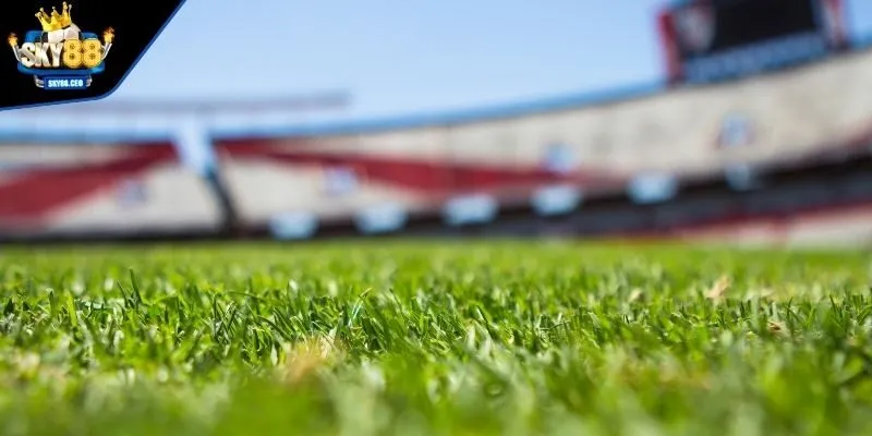 Dịch vụ tận tâm của nhà cái cá cược đẳng cấp SKY88