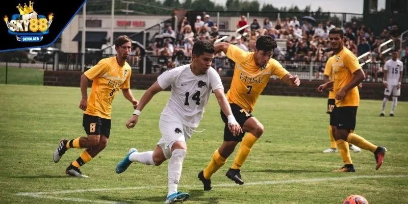 Hiểu rõ luật việt vị nền tảng của kèo việt vị trong bóng đá