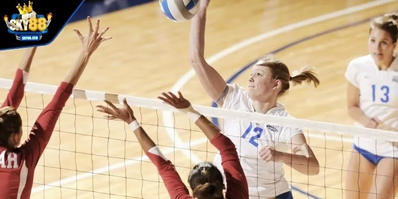 Khám phá sức hấp dẫn sảnh cược thể thao sống động